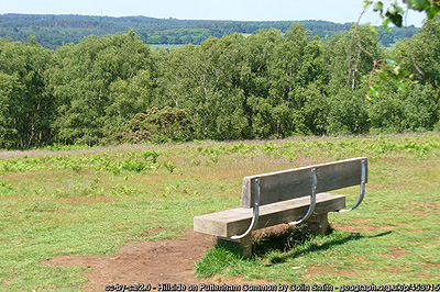 Puttenham Common
